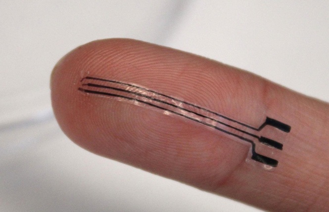 Image: Even though the team’s new bioelectronic is only about the size of a fingertip, it could offer an effective and biocompatible approach to addressing high blood pressure (photo courtesy of Tao Zhou/Penn State) Image: Even though the team’s new bioelectronic is only about the size of a fingertip, it could offer an effective and biocompatible approach to addressing high blood pressure (photo courtesy of Tao Zhou/Penn State)