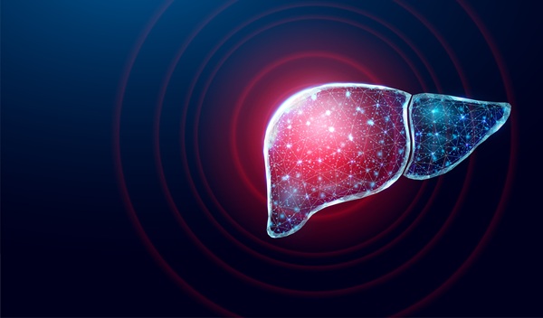 Image: The panel combines biomarker-based diagnostics with advanced digital algorithms to enable noninvasive assessment using routinely available clinical data (Photo courtesy of Adobe Stock)
