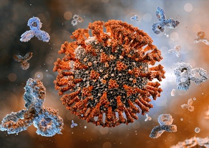 Image: The study evaluated SARS-CoV-2 antibody profiling, specifically titers against the spike (S) and nucleocapsid (N) proteins, as a tool to characterize long COVID (Image credit: iStock)