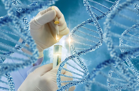 Image: The study findings support early genetic testing for people with TP53 alterations linked to Li-Fraumeni syndrome (Image Credit: Adobe Stock)