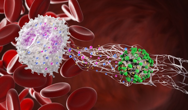 Image: Volition’s Nu.Q NETs test detects markers associated with neutrophil extracellular traps, which are released during NETosis and linked to sepsis and other acute and chronic disorders (Image credit: iStock)