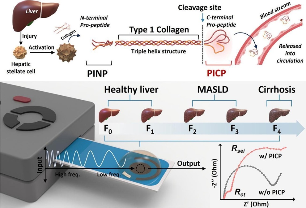 Graphical Abstract (Image Credit: Joohyung Park et al., Chemical Engineering Journal, 2026. DOI: 10.1016/j.cej.2026.179140)