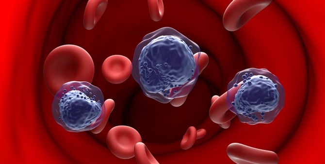 Image: The dPCR assay targets the most common KMT2A partner fusion genes found in AML and ALL, aligning with the disease biology relevant to current menin inhibitor programs (Image Credit: Shutterstock)