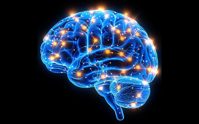 Image: Researchers identified 157 metabolites linked to BBB damage, including 25 that appeared in at least two independent studies (Image Credit: Adobe Stock)