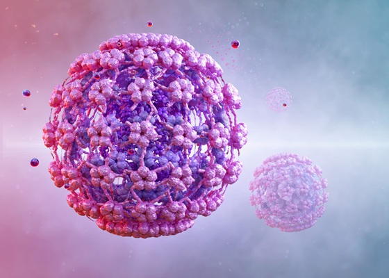 Image: Patient-collected swabs showed nearly twice the rate of high-risk HPV positivity reported in a recent large cervical cancer screening study in Washington (Image Credit: Adobe Stock)