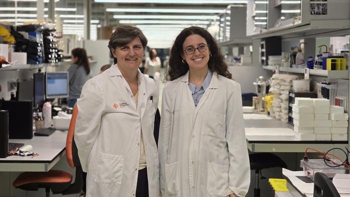 Image: Dr. Olivia Belbin, head of the Molecular Neurodegeneration Group at IR Sant Pau and study corresponding author, with Alba Cervantes (right), first author and IR Sant Pau researcher (Photo courtesy of IR Sant Pau)