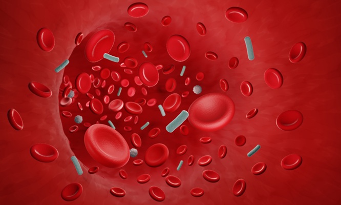 Image: A simple daily blood test could help critically ill sepsis patients stop antibiotics sooner, reducing overuse and potentially helping combat antibiotic resistance (Image Credit: Shutterstock)