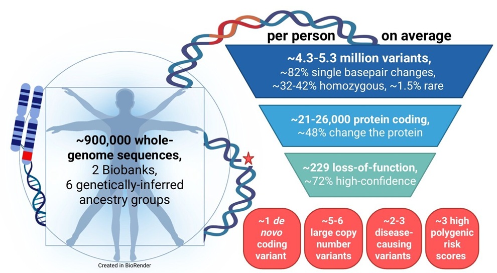 Image: Graphical abstract summarizing the key characteristics of the \