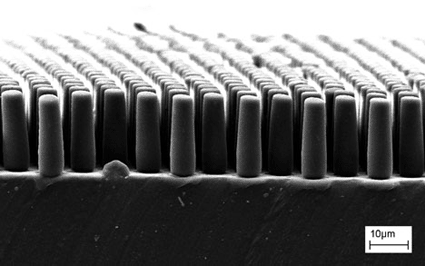 Image: The Cell Force sensor, designed for identification of somatic cells, and future diagnosis facilitation of diseases or healing process assessment (Photo courtesy of the Institute for Applied Optics and Precision Engineering IOF).