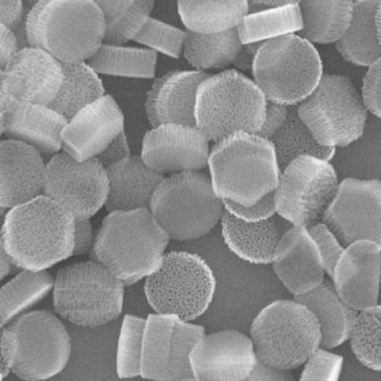 Image: Silicon mesoporous particles (SiMPS), measure about 1,000 nm across contain thousands of much smaller particles of iron oxide. The SiMPs can be manipulated by magnets and gather at the site of tumors, where they can be heated to kill malignant tumors or trigger the release of drugs. The particles were created by an international team led by scientists at Rice University and Methodist Hospital Research Institute (Houston, TX, USA) (Photo courtesy of Rice University). Image: Silicon mesoporous particles (SiMPS), measure about 1,000 nm across contain thousands of much smaller particles of iron oxide. The SiMPs can be manipulated by magnets and gather at the site of tumors, where they can be heated to kill malignant tumors or trigger the release of drugs. The particles were created by an international team led by scientists at Rice University and Methodist Hospital Research Institute (Houston, TX, USA) (Photo courtesy of Rice University).