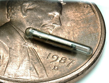Image: The Calypso 17G soft tissue Beacon transponder (Photo courtesy of Varian Medical Systems).