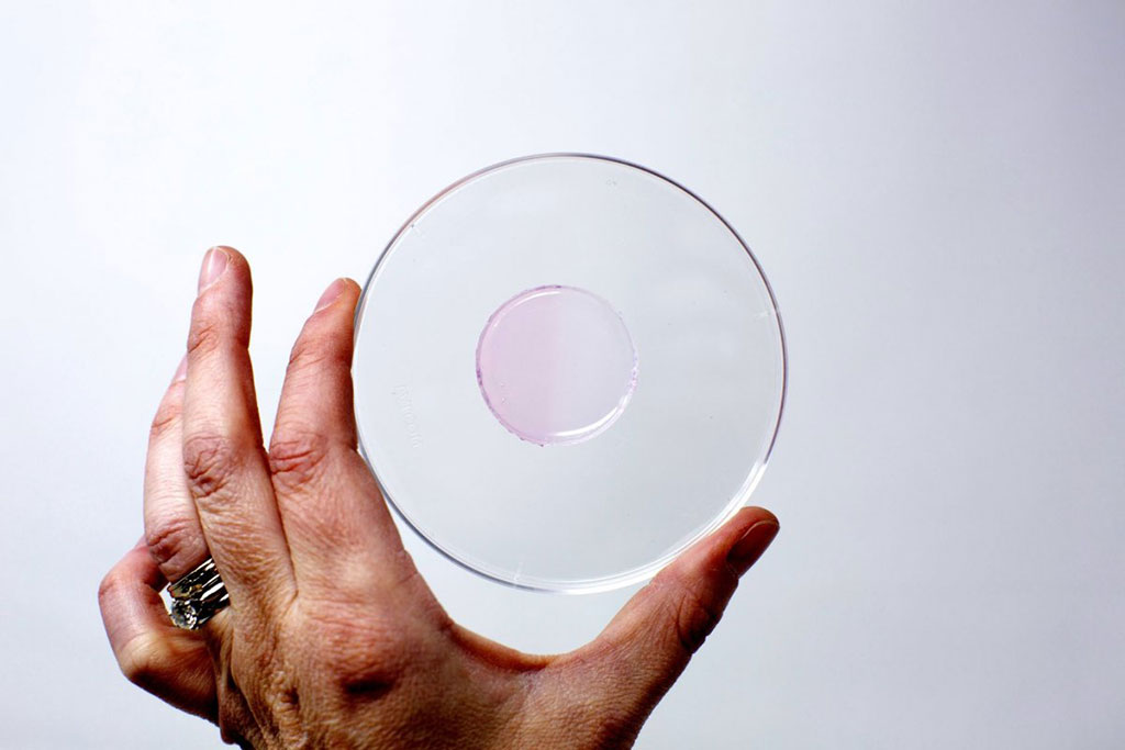 Image: A circle of the hydrogel, irradiated on the left half, whereas the right half is not irradiated (Photo courtesy of ASU)