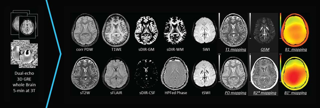 Image: STAGE’s 10 qualitative and six quantitative image outputs (Photo courtesy of SpinTech)