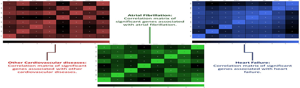 Imagen: El aprendizaje automático se puede utilizar para ayudar a los médicos con el diagnóstico temprano (Fotografía cortesía de la Universidad Rutgers)