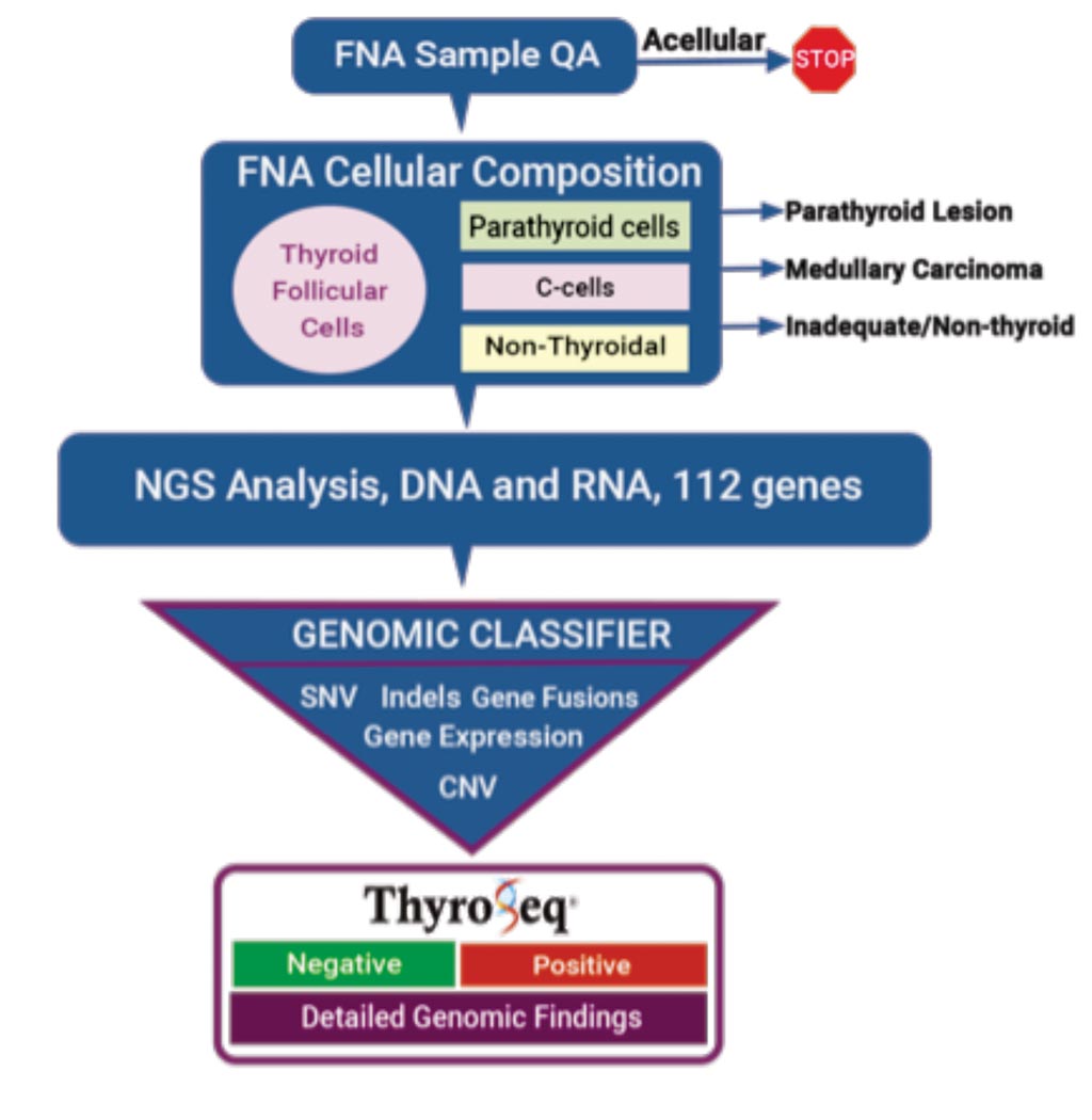 Диаграмма рабочего процесса анализа ThyroSeq Genomic Classifier для определения предоперационного статуса рака щитовидной железы (фото любезно предоставлено ThyroSeq). Диаграмма рабочего процесса анализа ThyroSeq Genomic Classifier для определения предоперационного статуса рака щитовидной железы (фото любезно предоставлено ThyroSeq).